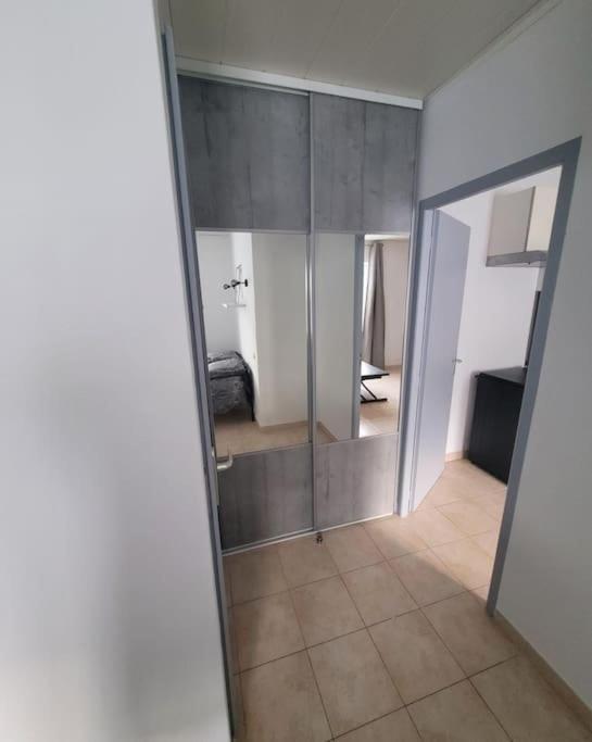 ויזיל Appartement Calme מראה חיצוני תמונה
